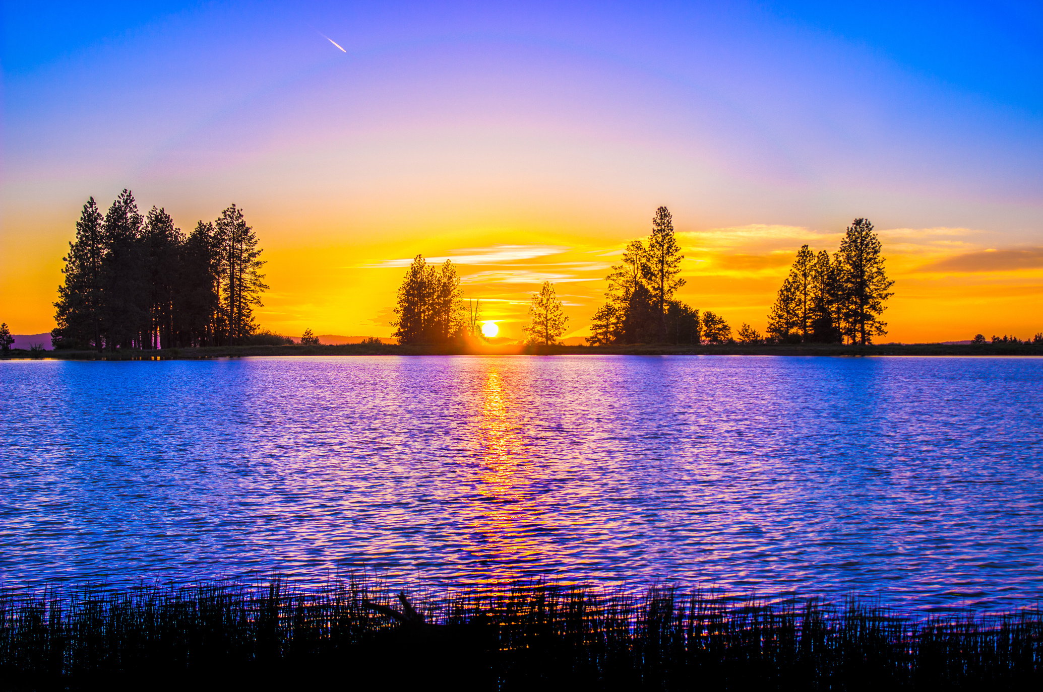 Blue and Orange Sunset over Lake With Tree Silhouettes